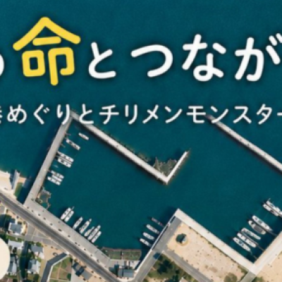 海の命とつながる1日～漁港めぐりとチリメンモンスター大捜索～