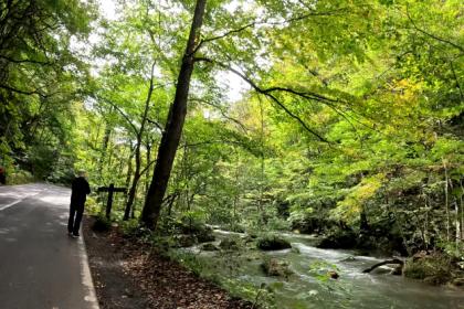 紅葉の奥入瀬渓流ファンラン～青森・十和田湖の名勝でブナのイエローシャワーを浴びて走ろう