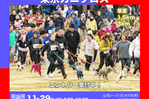 ドッグマラソン2026 東京カニクロス