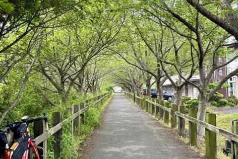 ゆっくりと風と記憶をたどる児島探訪サイクリング