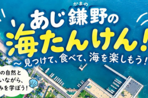 あじ鎌野の海たんけん！～見つけて、食べて、海を楽しもう！～