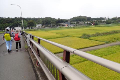 ゆっくりウォーク　小田急線から相模線へ　藤沢本町駅～香川駅