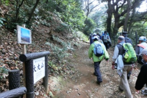 いたち川を歩いて横浜最高峰の大丸山へ