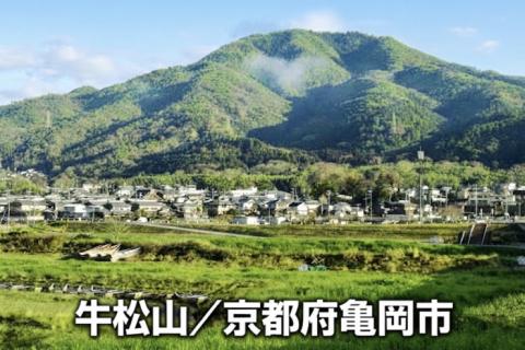 牛松山と亀岡夢コスモス園