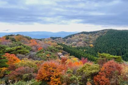 はじめてのロゲイニングinちはや園地