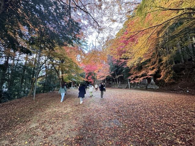 諏訪神社の紅葉