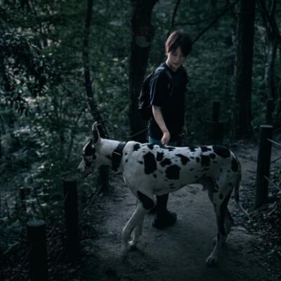 apollonさん