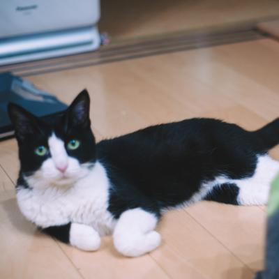 みつお_
