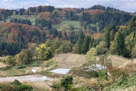 越後まつだい春の陣　秋の偵察RUN