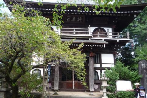 利根川沿いの自然を楽しむ　9ｋｍ　団体歩行