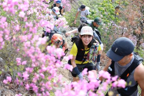 【ランニングボランティア等募集】WAKE ALPS TRAIL 2027