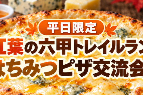 【平日限定】紅葉の六甲トレイルラン12km｜はちみつピザ交流会