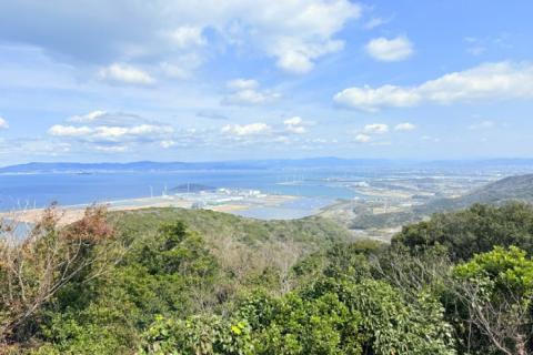 【菜の花と桜】山と海ダブル絶景！渥美半島トレイルラン15km