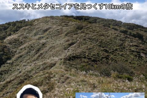【10.25 日曜】関西百名山「花の山」 ・ 尾根沿いを楽しむ！赤坂山トレラン
