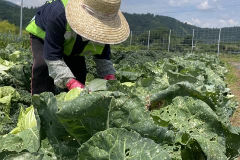 〜野菜収穫体験〜ランニングイベント