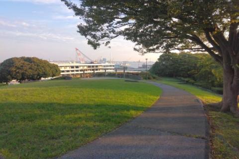 Saturday Community Run(横浜市場ロードラン+お菓子工場直買)