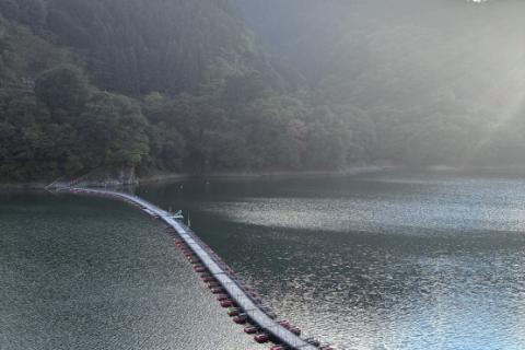 さよなら西東京バス奥多摩駅⇔小菅の湯路線 麦山浮橋・奥多摩湖・小菅村観光ラン
