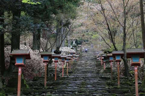 第4回 英彦山参道駆け上がり大会