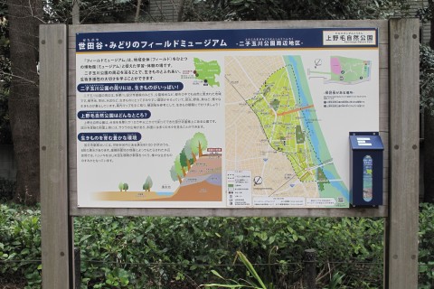 東京都内で緑あふれる大自然を満喫しよう！等々力渓谷を歩くコース（東京文化財ウオークから）