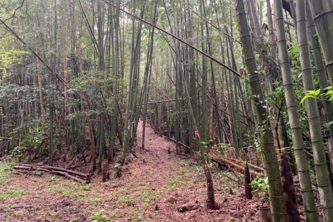 ながとトレイル開通記念！トレイルランニング