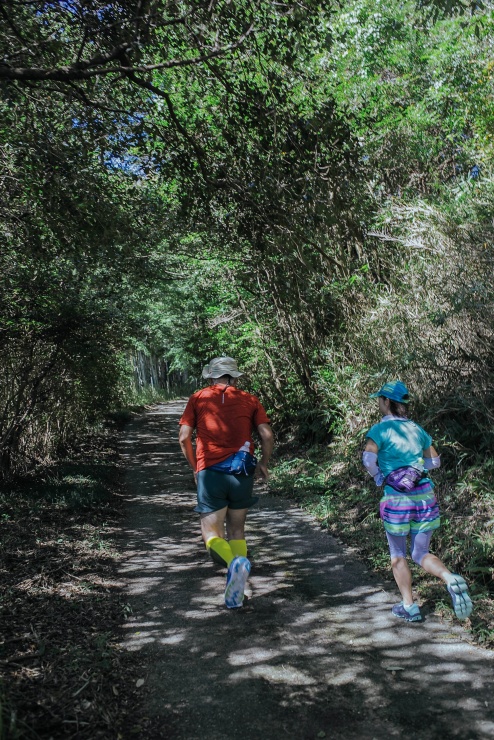 今年のコース：いつものオレンジラインが待っています。