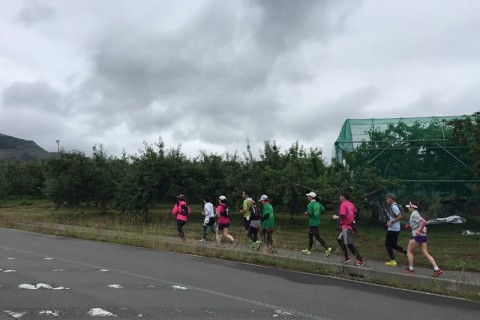 さくらんぼ食べ放題マラニック