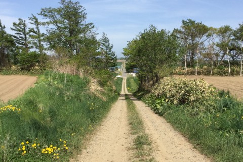 今金男しゃくマラニック2019