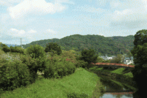 斑鳩の里と矢田丘陵縦走 約25km 桜花ラン　（ゆららの湯入浴券・食事券付き）