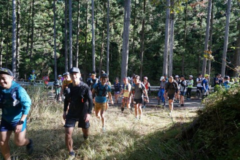 LUMBERJACK TRAIL Vol.3.0